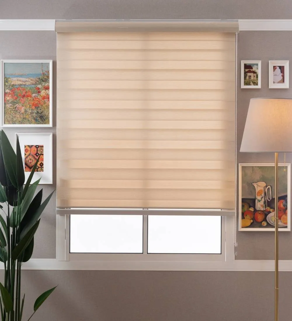 Rome Waterproof Moldproof Sunscreen Zebra Blinds