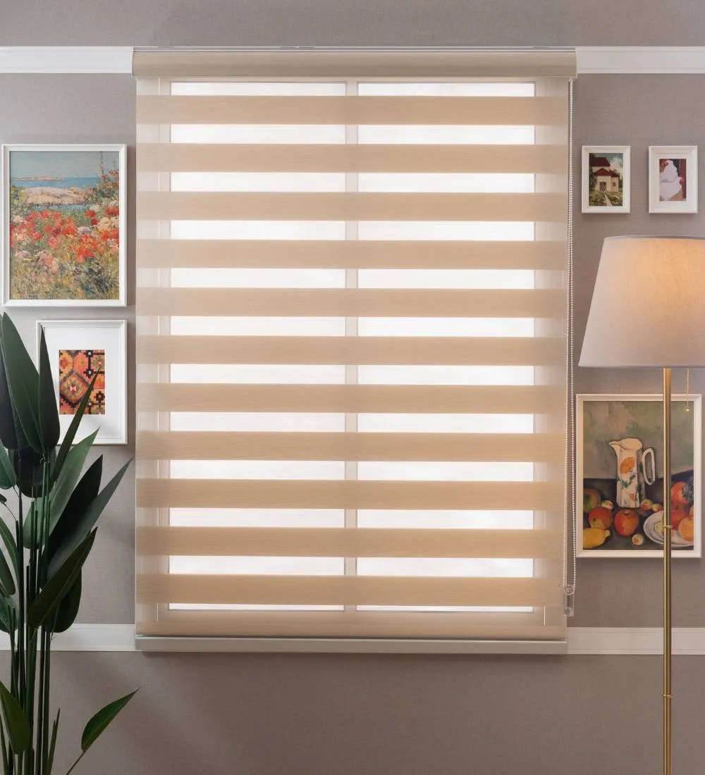 Rome Waterproof Moldproof Sunscreen Zebra Blinds