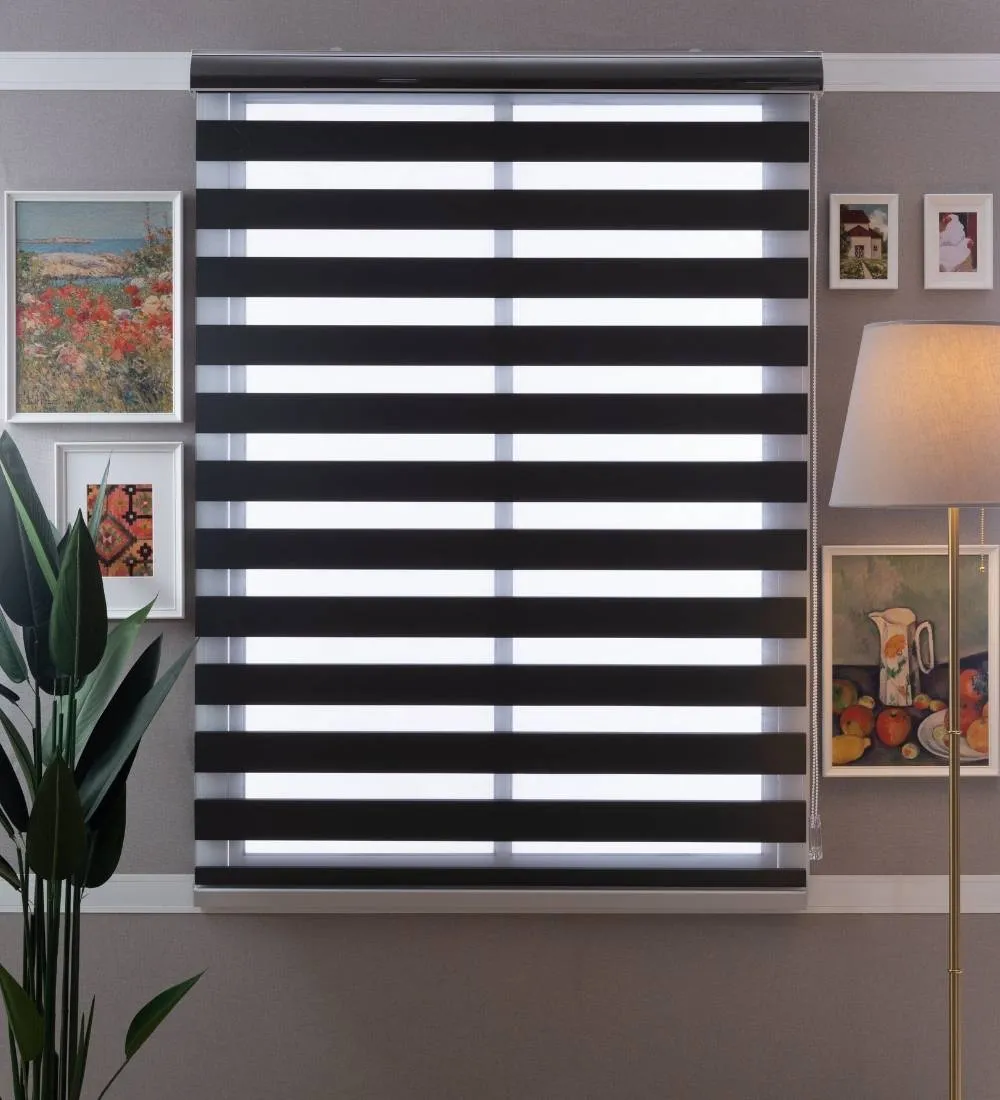 Rome Waterproof Moldproof Sunscreen Zebra Blinds